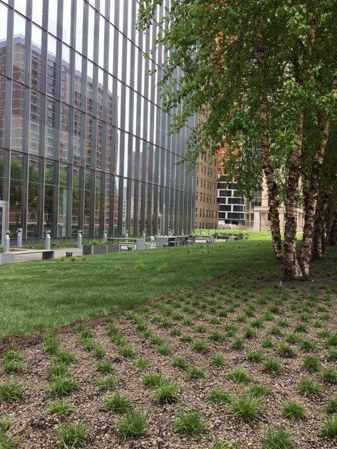 Exterior shot of a modern building with glass facade next to a grassy area and birch trees.