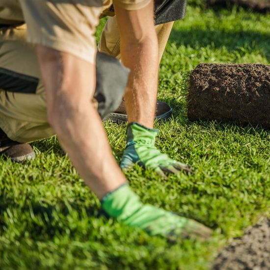 Worker Installing Grass — Hempstead, NY — Harder Services Inc