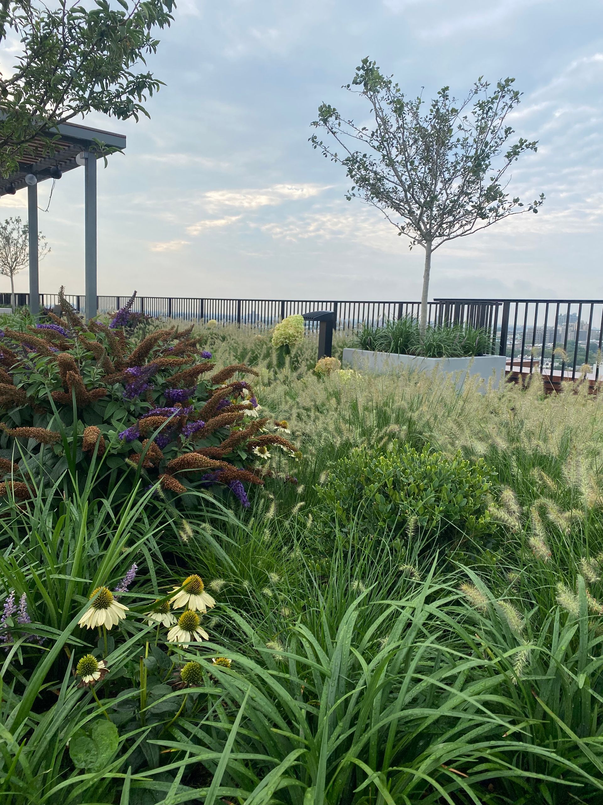 Lush rooftop garden with colorful flowers and grasses under a cloudy sky.