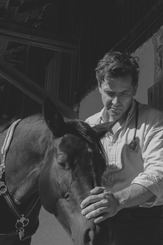 Tierarzt Albert Raith mit Stethoskop untersucht ein schwarzes Pferd in einer Scheune.