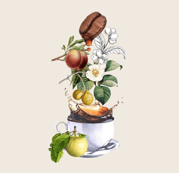 Taza de café con granos de café, frutas y acentos florales salpicando la taza.