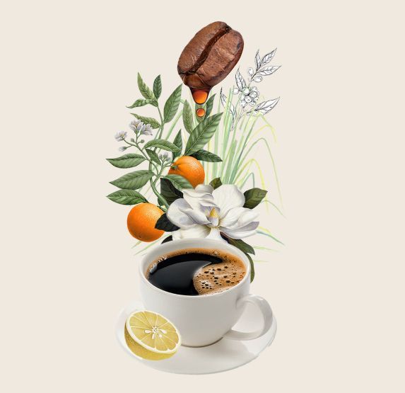 Taza de café con arreglo floral que incluye naranja, limón, grano de café y flor blanca.