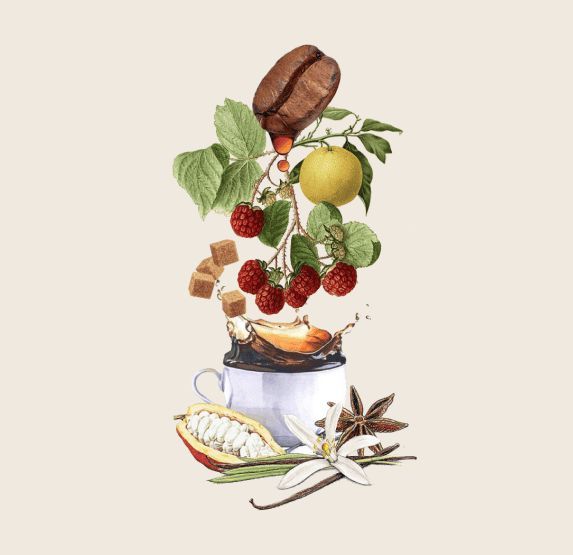 Taza de café con ingredientes flotantes: granos de café, bayas, terrones de azúcar y especias.