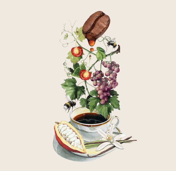 Taza de café con elementos botánicos: grano de café, uvas, mazorca de cacao, abejas.