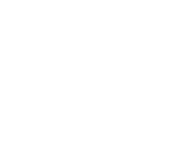 Fondo blanco vacío.