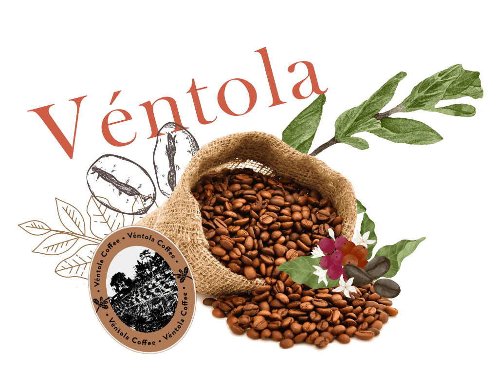 Granos de café derramándose de un saco de arpillera, con elementos florales y de hojas y el nombre 