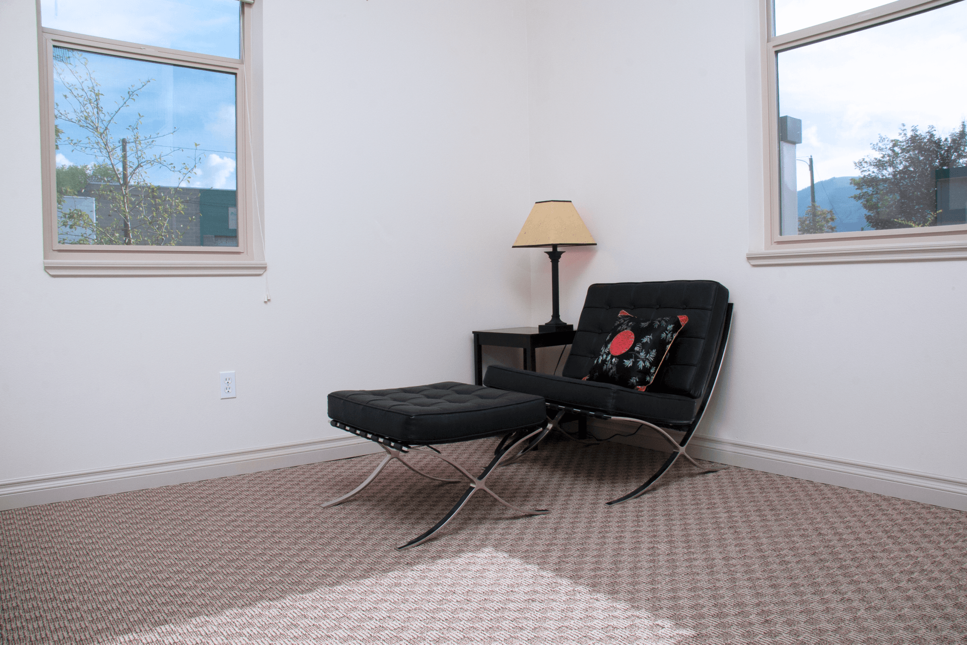 Spruce Living Room Corner Photo