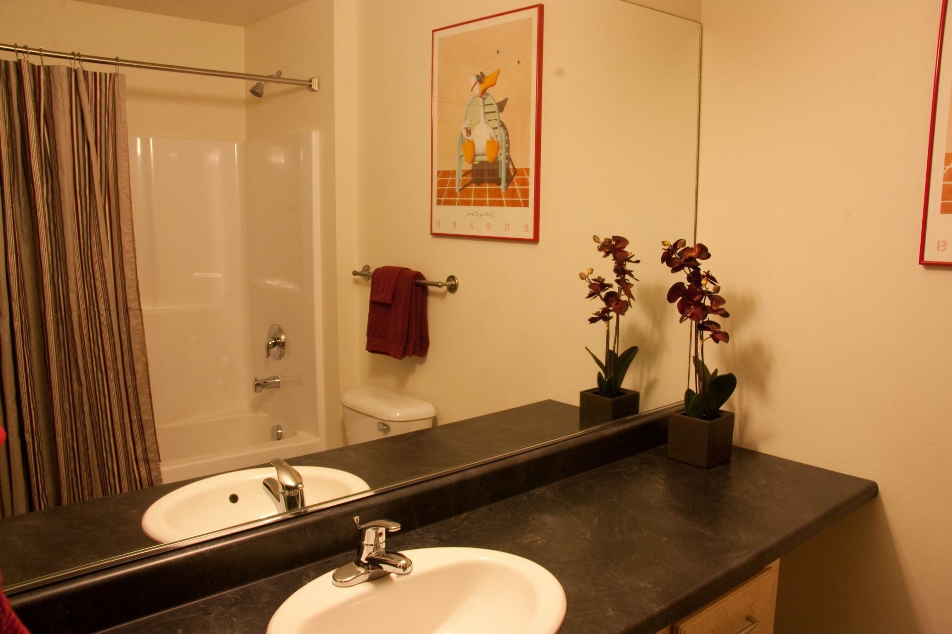 Spruce Bathroom Photo