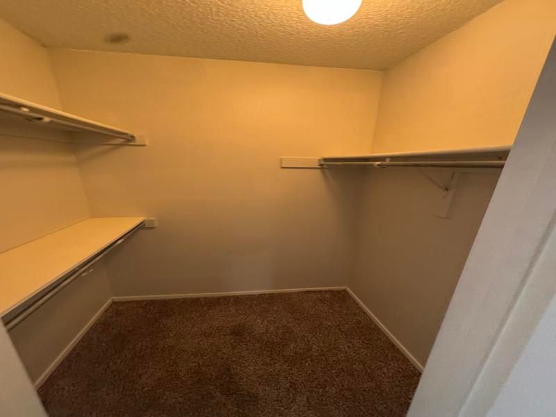 A walk in closet with shelves and a light on the ceiling.