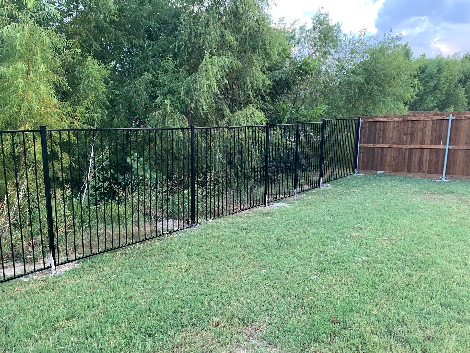 A black metal fence is surrounded by a wooden fence in a backyard.