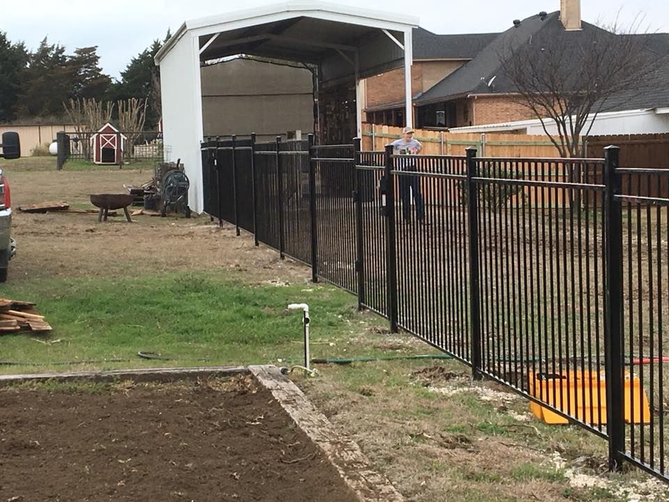 A black fence surrounds a yard with a white shed in the background.