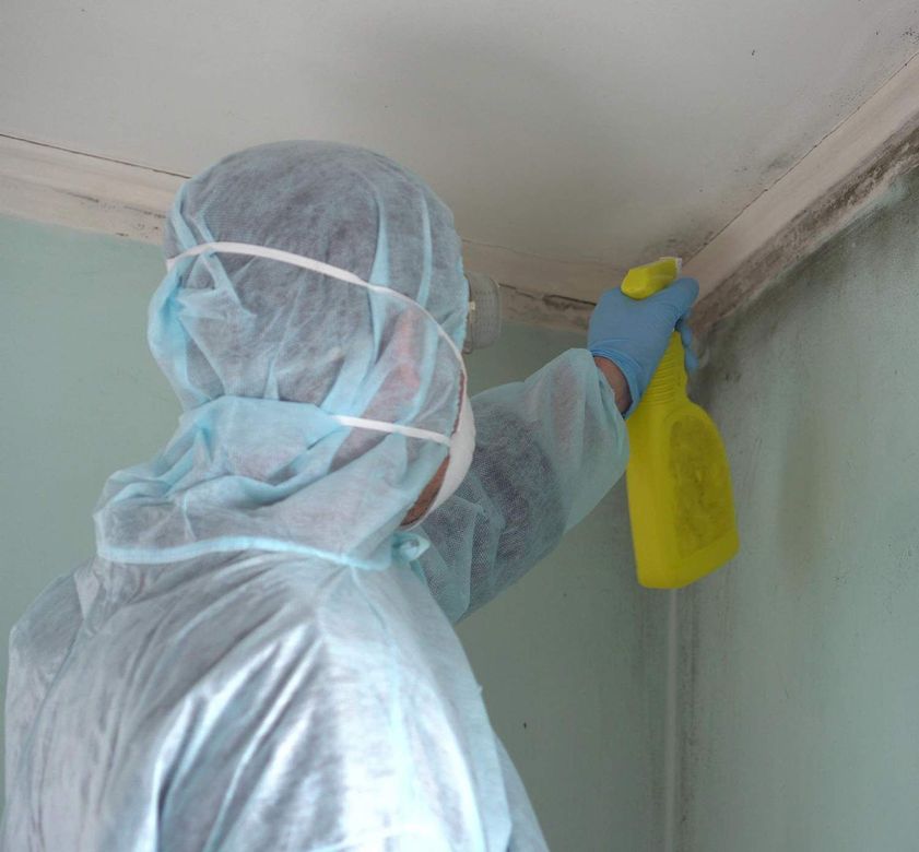 Mold Inspection Service in Corona, CA