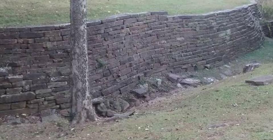 Stone retaining wall in a grassy area, with a tree growing in front of it.