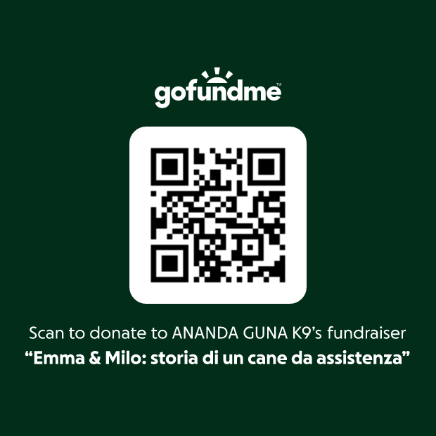 https://www.gofundme.com/f/emma-milo-storia-di-un-cane-da-assistenza?utm_campaign=man_sharesheet_dash&utm_medium=customer&utm_source=whatsapp&lang=it_IT&attribution_id=sl%3A988410ab-3396-4a6f-a462-c758f5a5bdbd