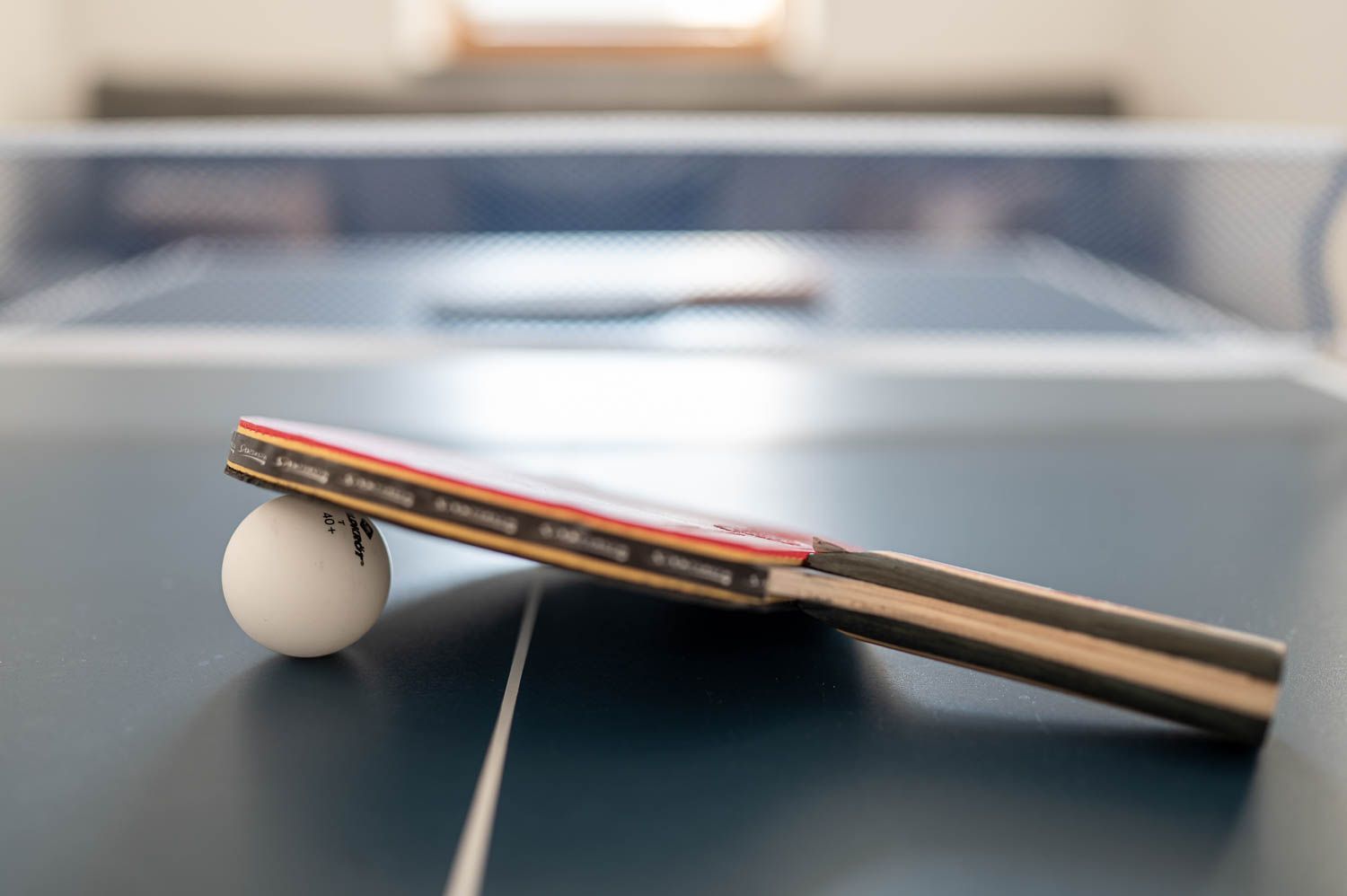 Appartment Ausstattung Tischtennis