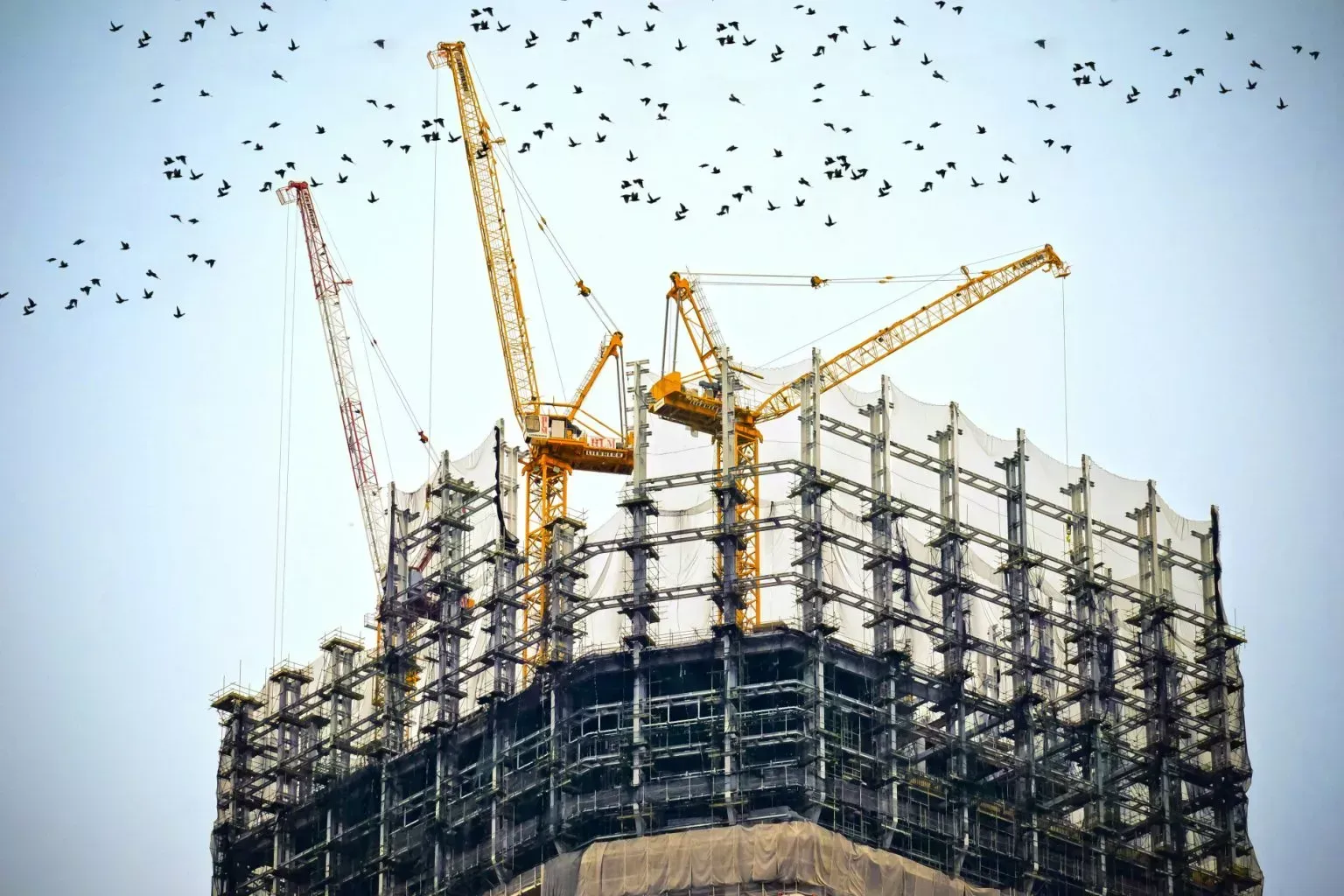 Construction of a skyscraper with yellow cranes and safety netting; birds fly in the sky.