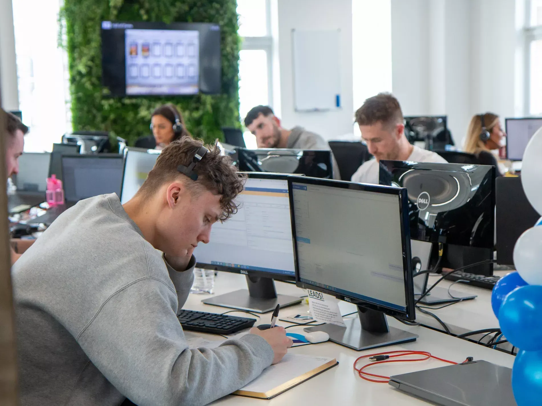 People working at computers in a bright office, a wall of green plants and blue balloons in the background.