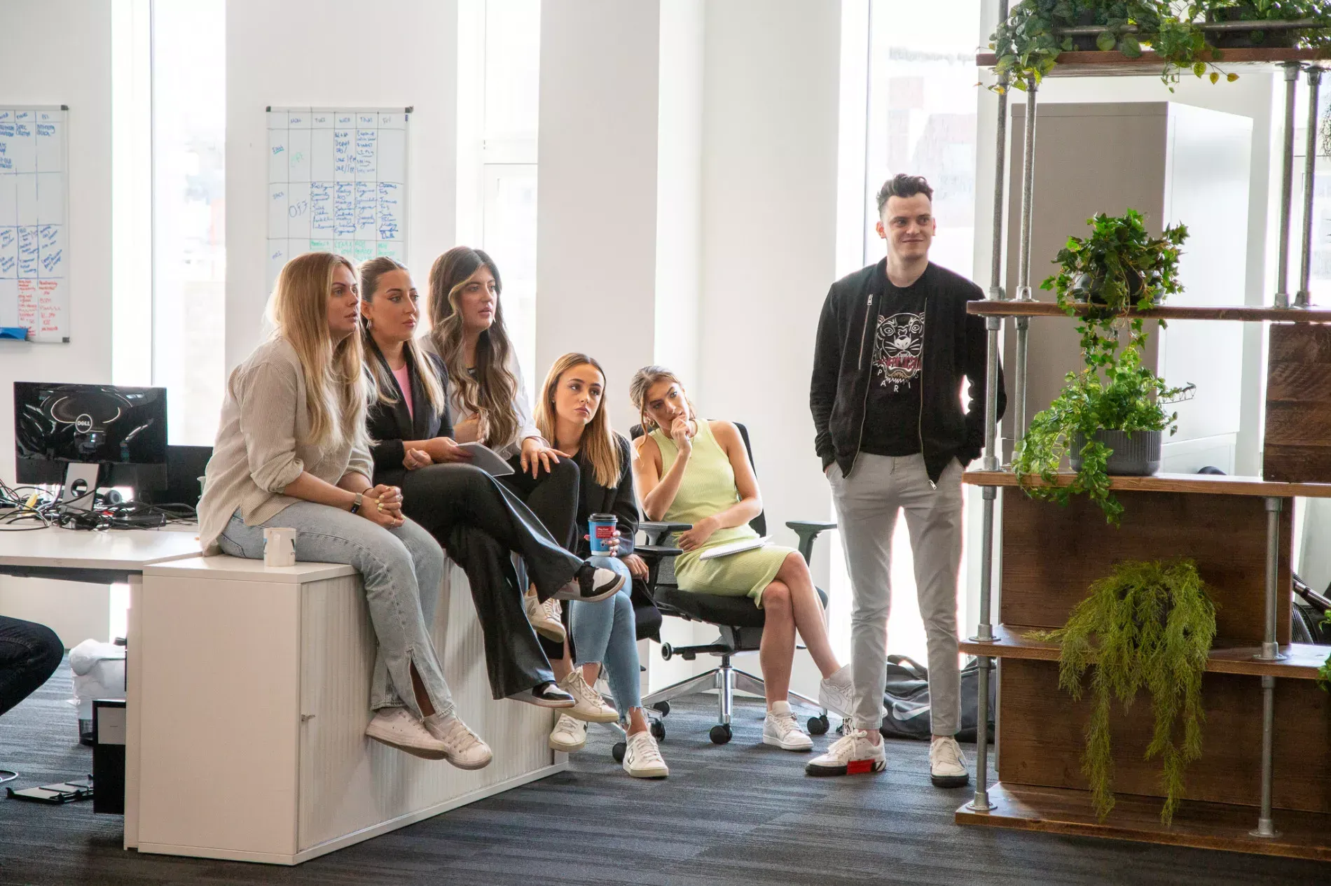 A group of people in an office. Six seated women listen to a standing man; plants on a wooden shelf.