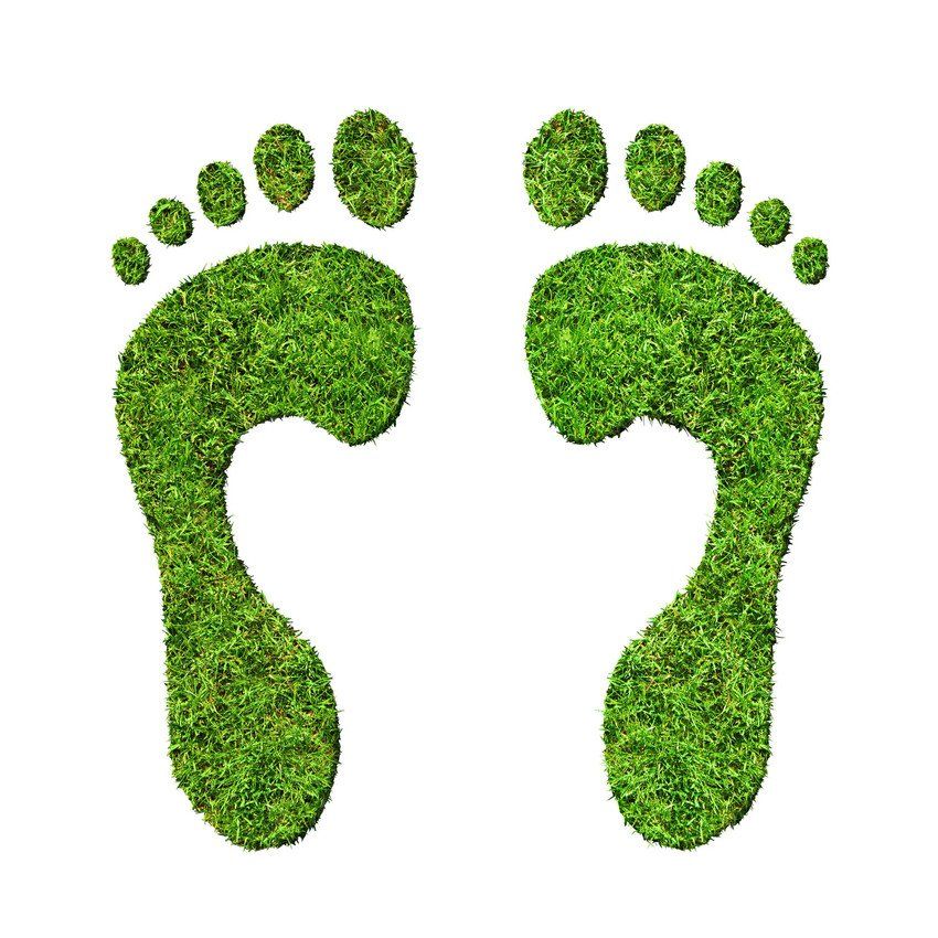 Carbon Footprint