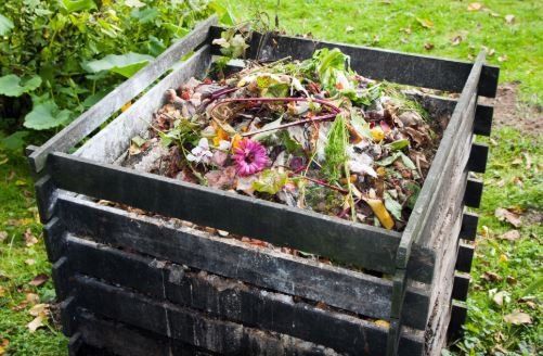 Compost bin