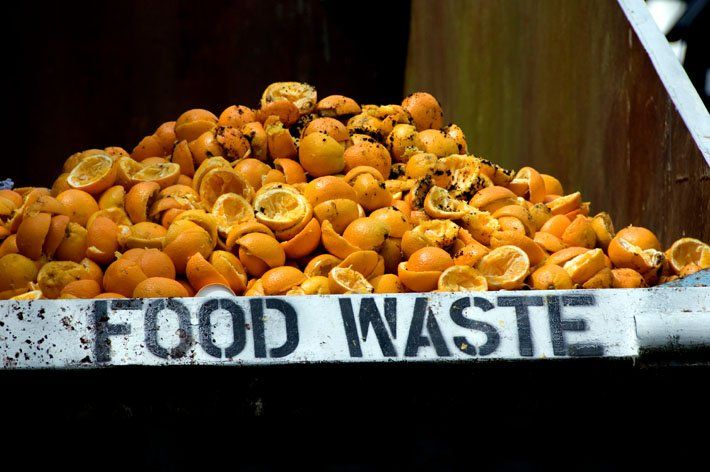 Food waste