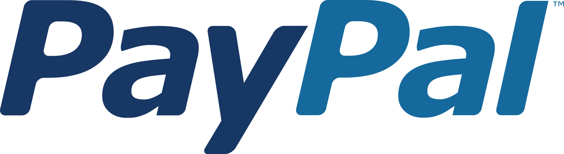 A blue paypal logo on a white background