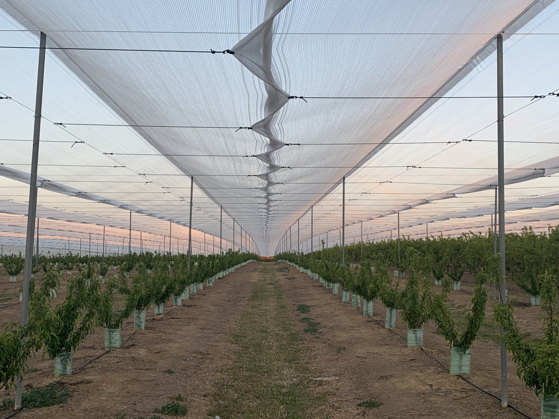 Protective Canopy Structures | Southern Cross Netting
