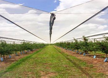 Canopy Structures