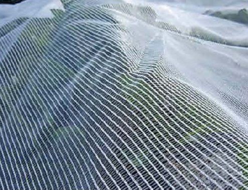 Vege Netting