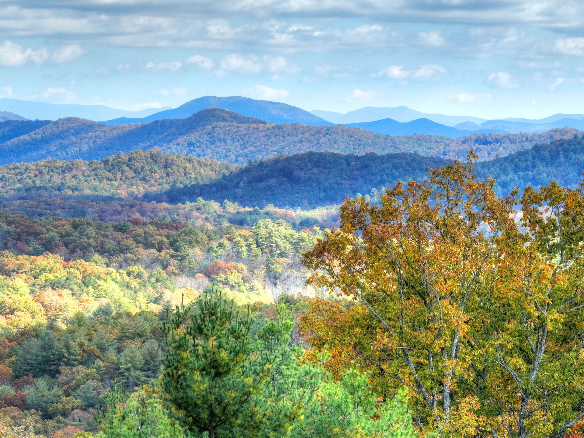 Rolling hills covered in fall foliage under a cloudy sky.
