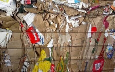 Recupero carta e cartone Padova