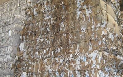 Recupero carta e cartone Padova