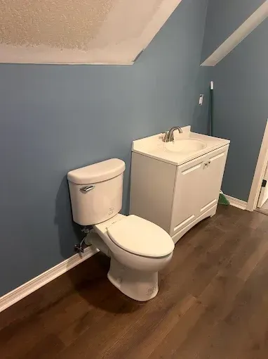 Toilet and white sink in a small bathroom with blue walls and wood flooring.