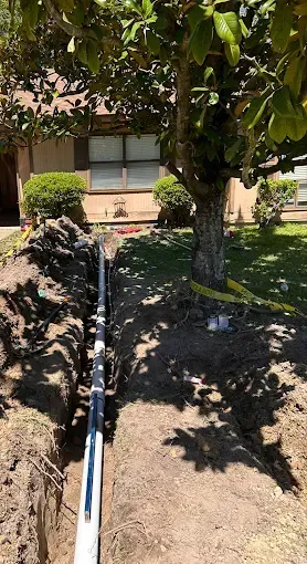 Trench with installed black and white pipes next to a tree in front of a house.