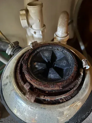 Rusty garbage disposal viewed from above, showing the blade area and connected pipes.