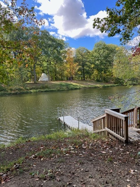 there is a dock in the middle of a lake surrounded by trees .