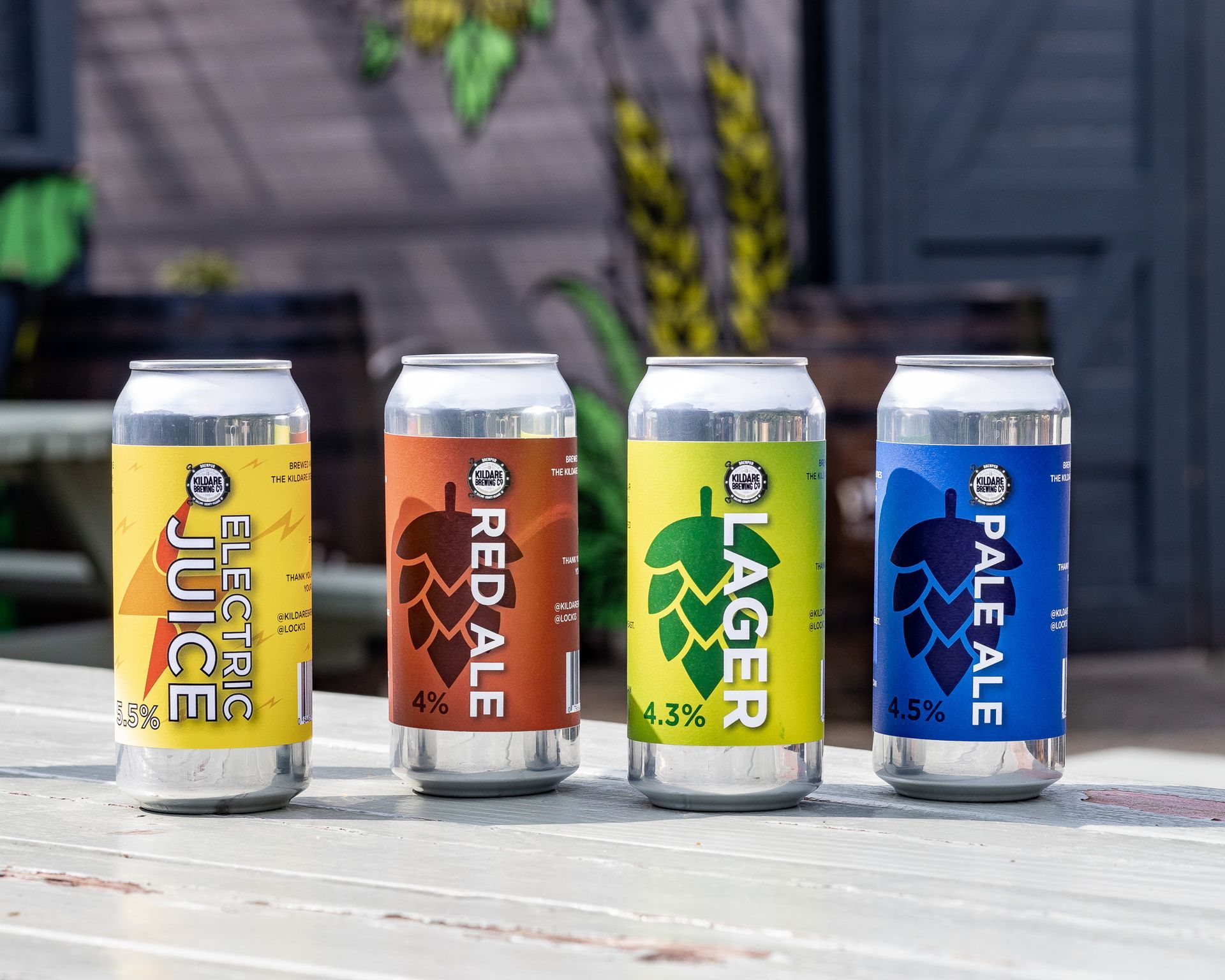 Our Canned Beer Lineup - Irish Craft Beer at its best