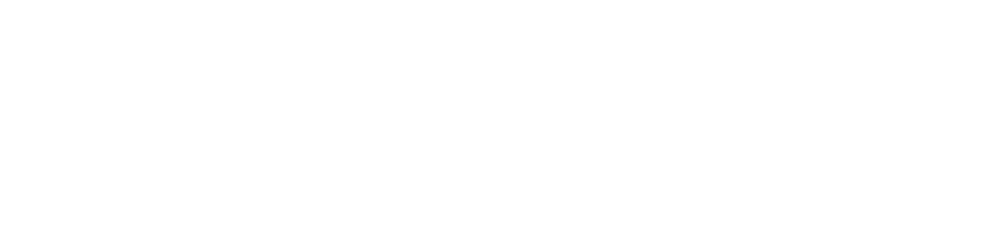 Mcdaniel-Tichenor House Inc logo