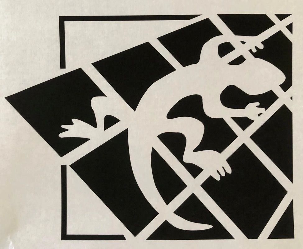 White gecko on a black and white tile background, inside a square frame.