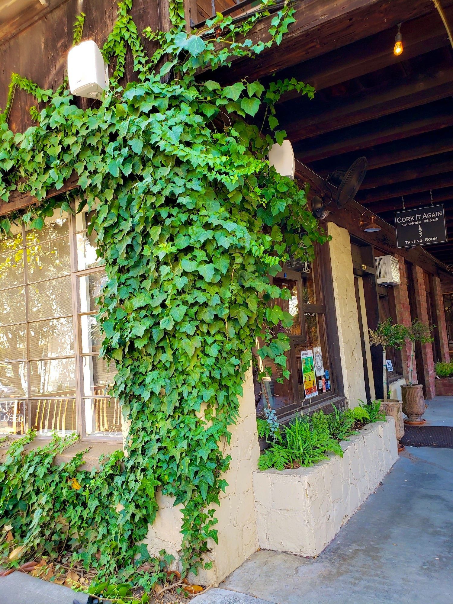 A building with ivy growing on the side of it.