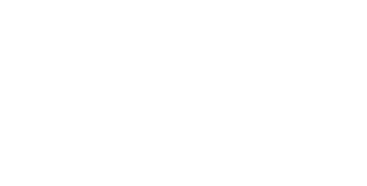 starlink commercial services