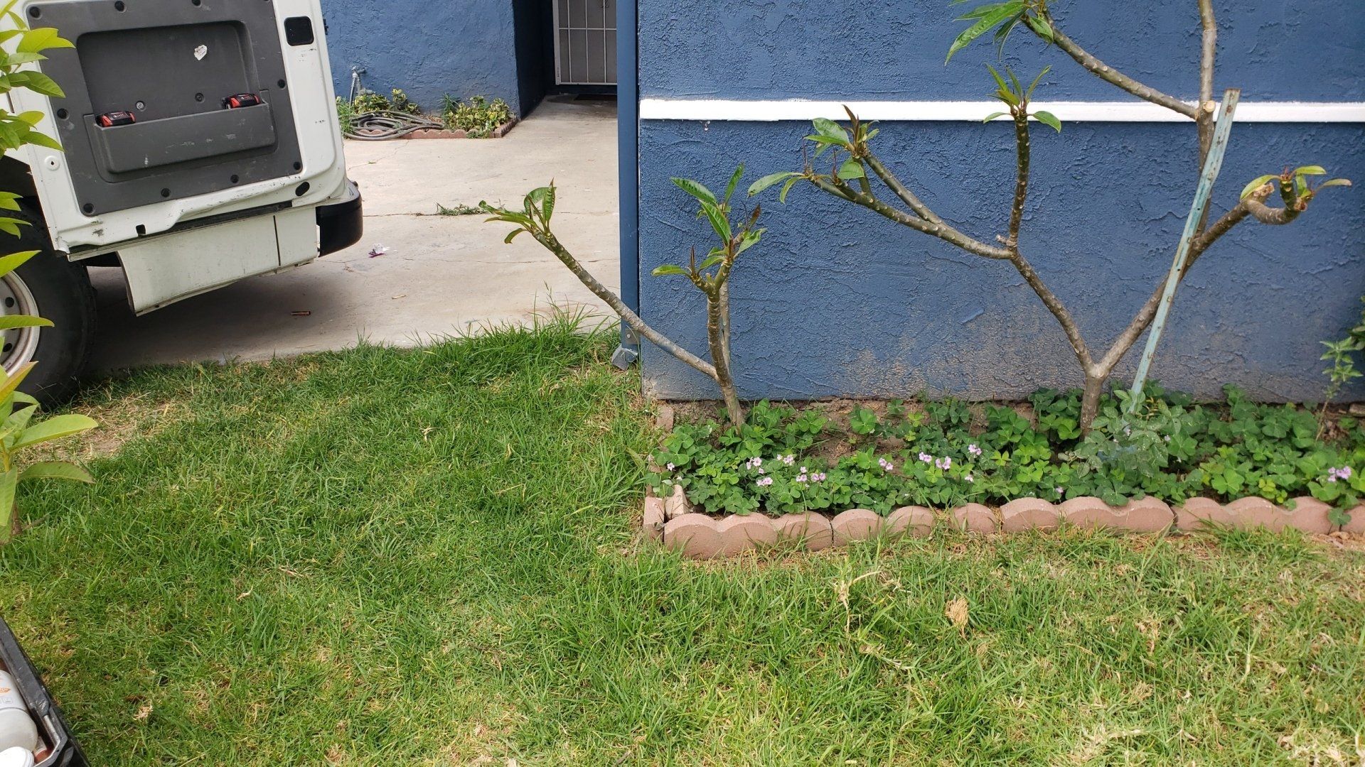 Green Grass — San Diego, CA — Level Up Plumbing