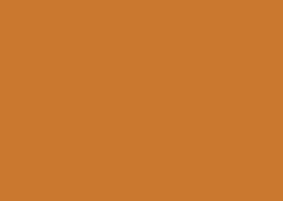 A close up of a plain orange background.
