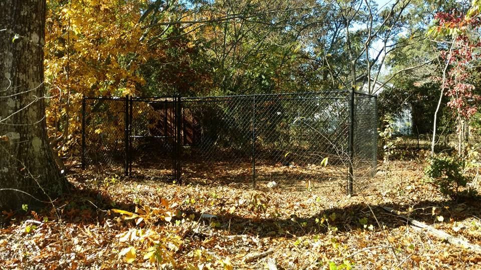 Chain Link Fence on Forest | Pickens, SC | Allen's Fencing