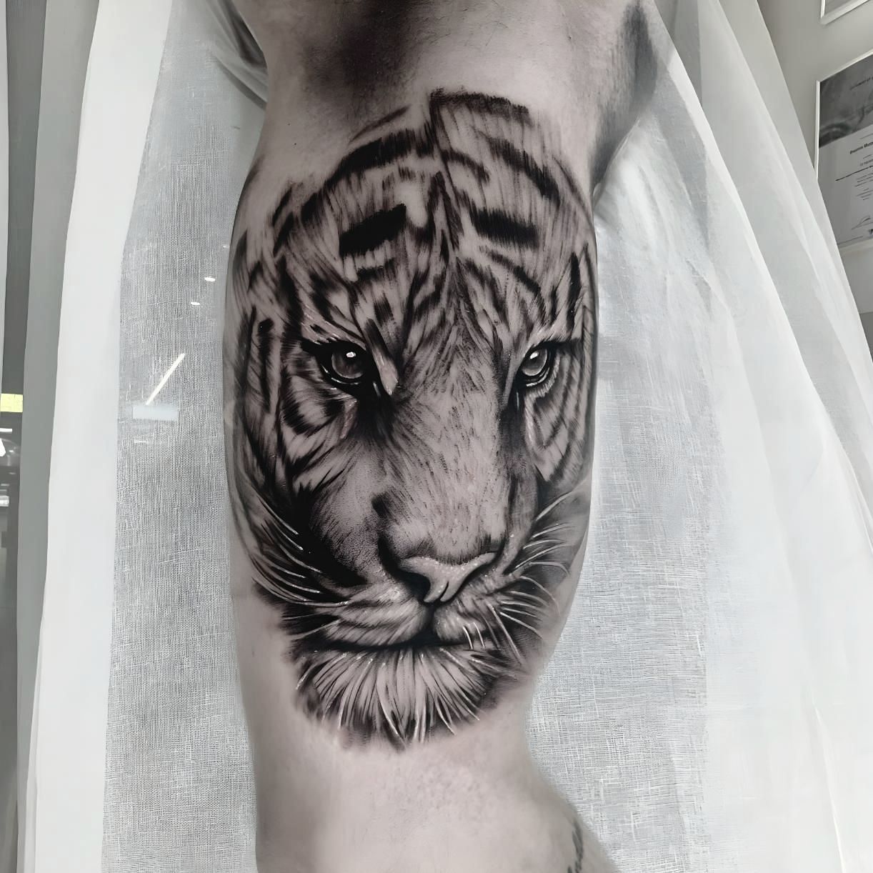 A Person Has a Tattoo of a Tiger on Their Leg — Tattoo Inc Studio In Broadbeach, QLD