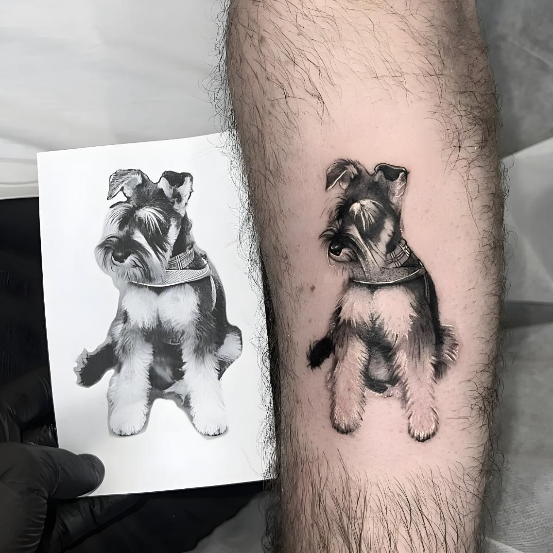 A Man Has a Tattoo of a Schnauzer on His Arm — Tattoo Inc Studio In Broadbeach, QLD