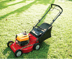 Mike's lawn mower discount shop