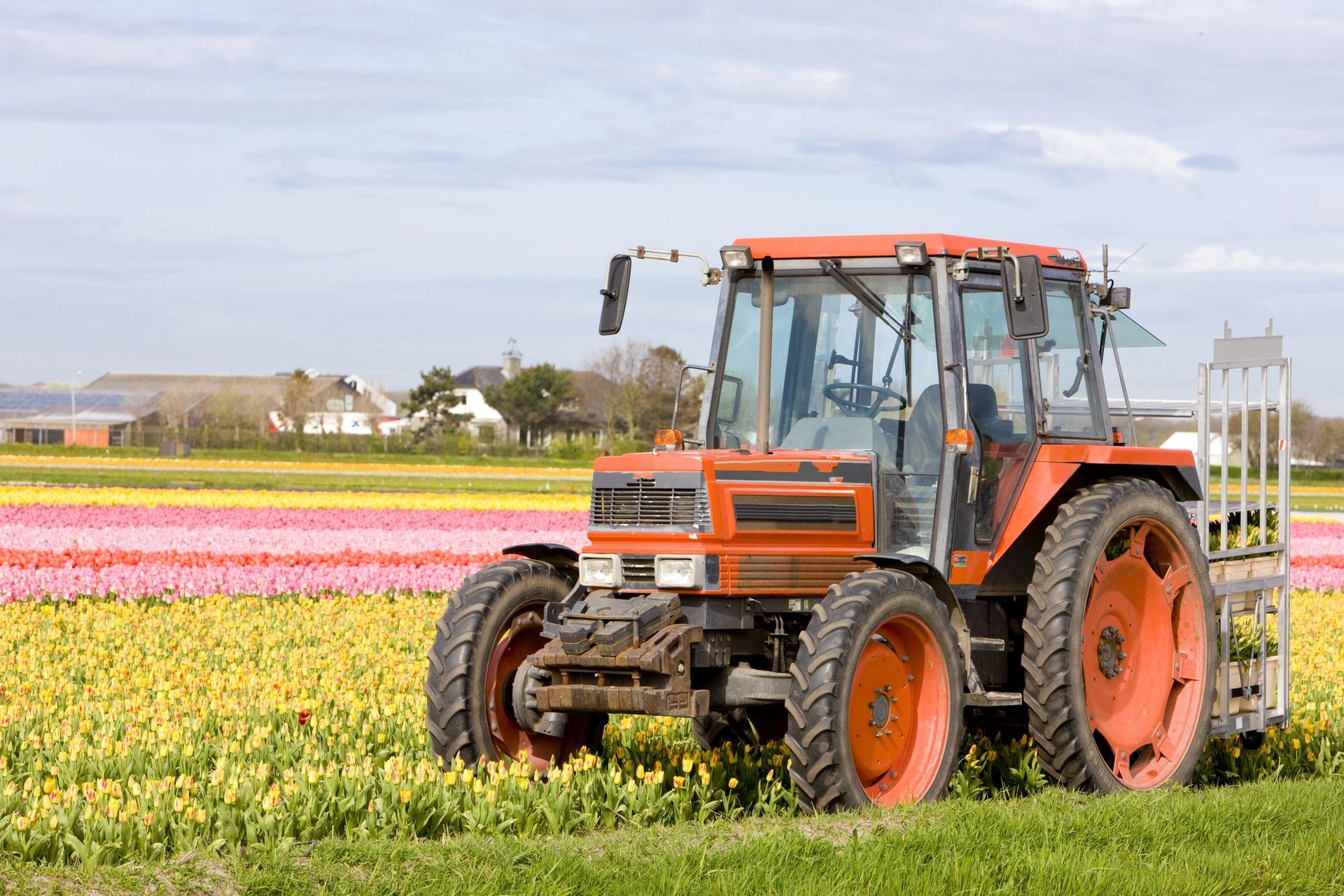 Un trattore arancione si trova in un grande campo di tulipani colorati sotto un cielo nuvoloso.