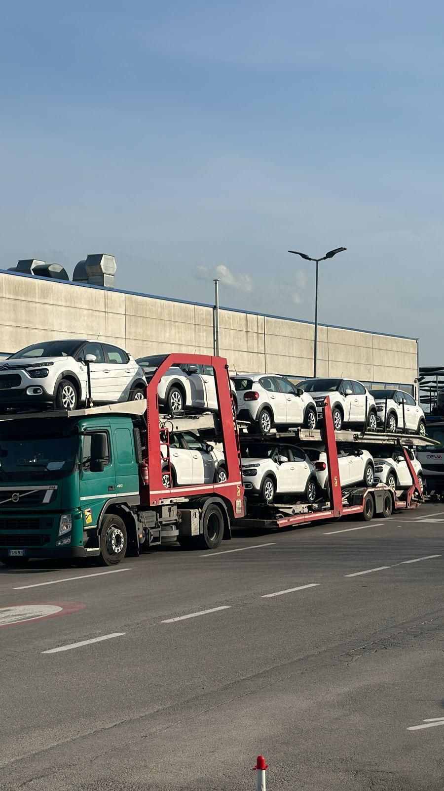 Zichella Trasporti auto nuove
