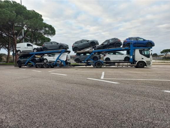 Zichella trasporti - Foggia